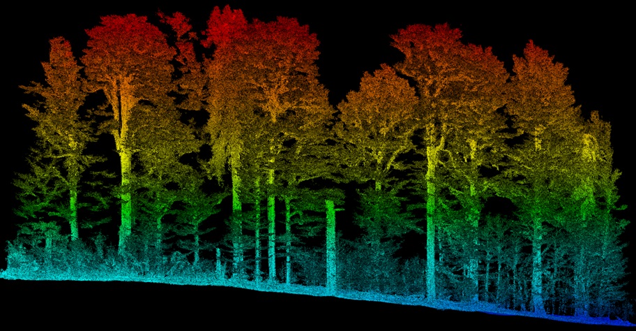 Drone lidar in a temperate mountain forest in the southwest Czech Republic.