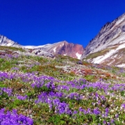 Sahale Peak