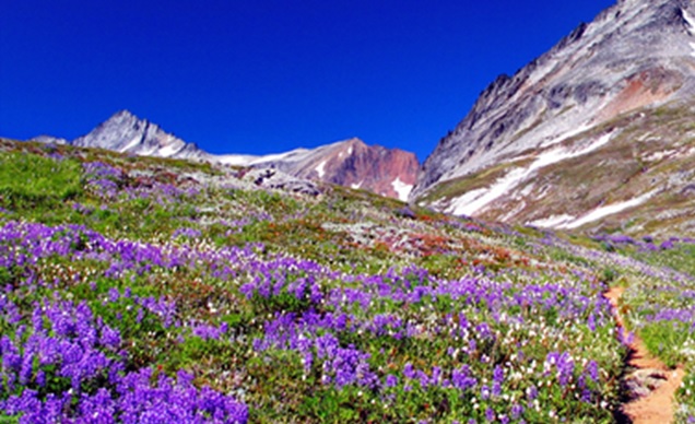 Sahale Peak